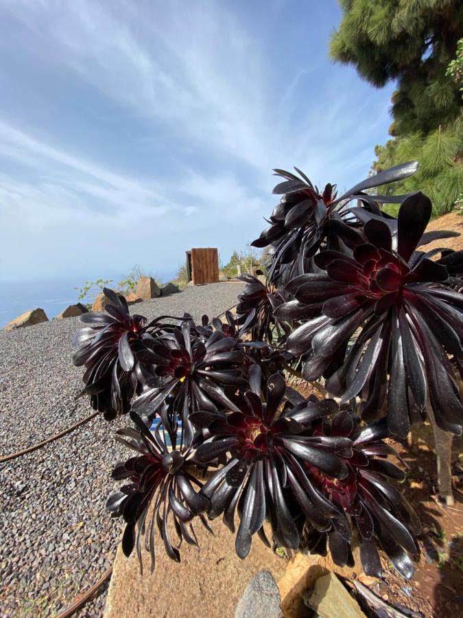 Brenoso 2 Villa Puntagorda Buitenkant foto